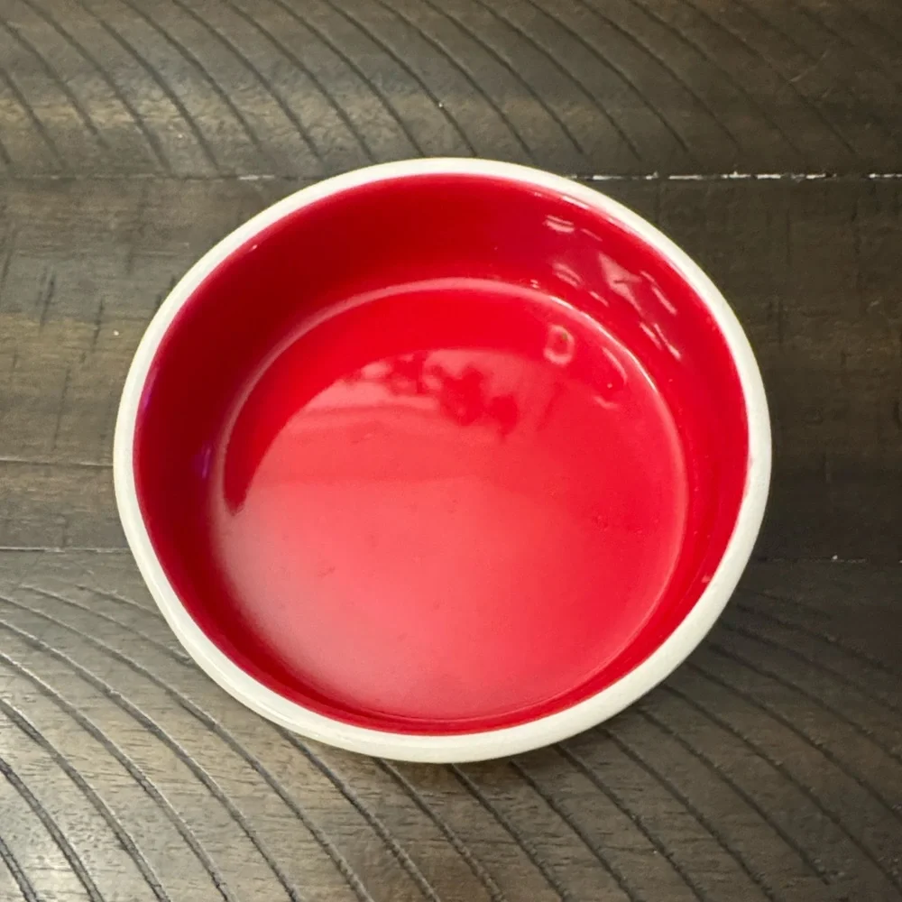 RAE Dunn Christmas Pet Dish